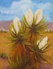 20 Yucca Blooms